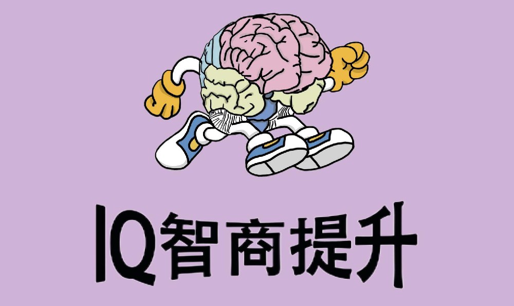 IQ智商提升课程